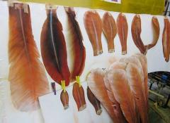 The making of a Giant Headless chicken, Fabrication Cape Town