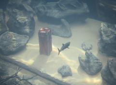 Model ship and safe, Model making Cape Town