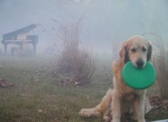 Atmospheric Smoke, Special effects smoke Cape Town