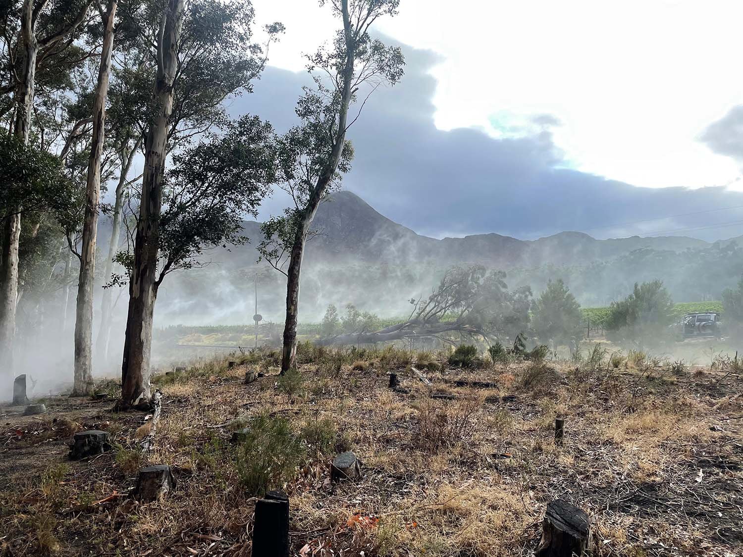 Propane fogger | Van Hunks