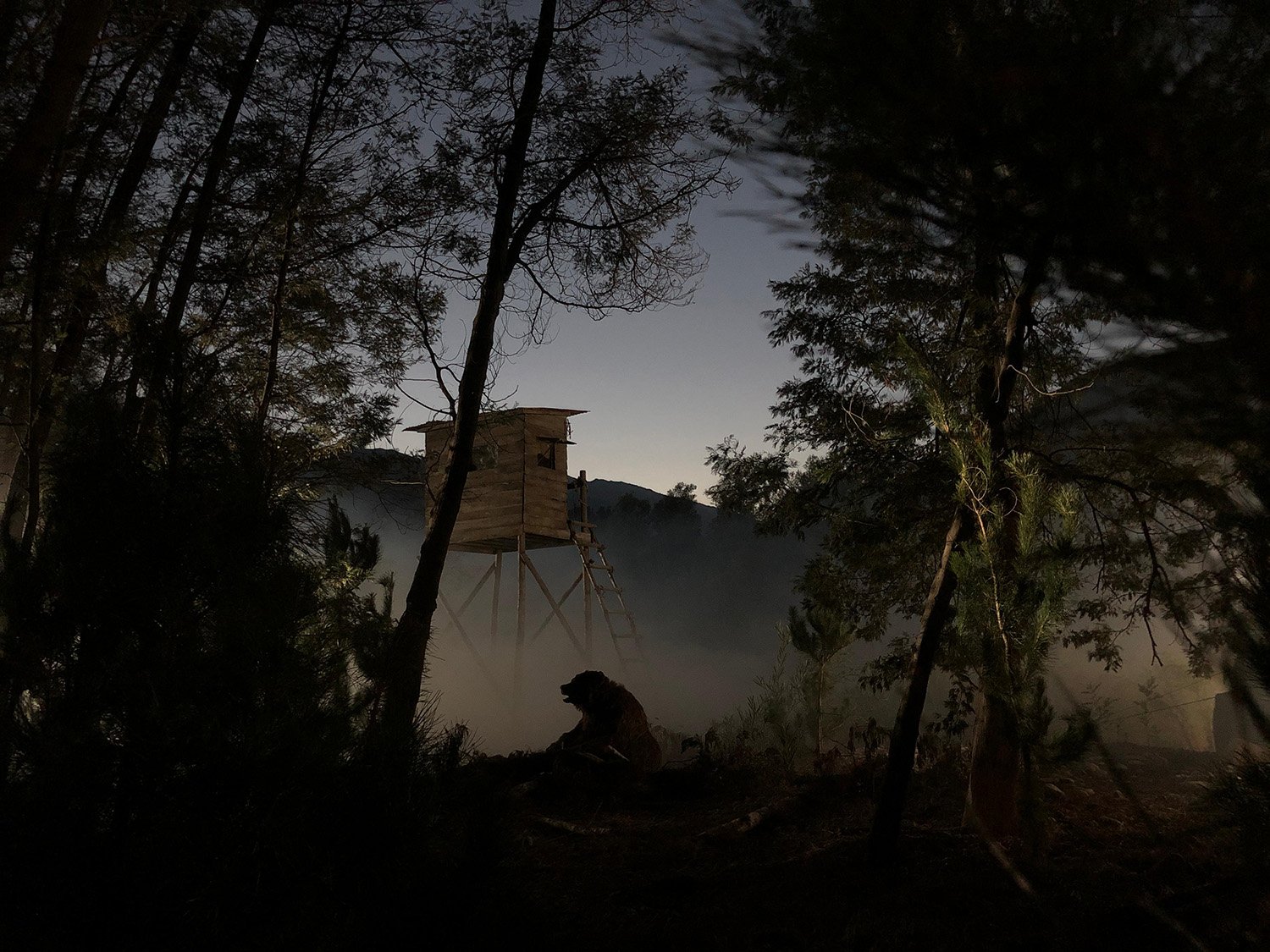 The best atmospheric smoke machine for special effects | Van Hunks