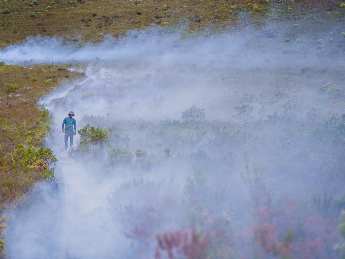 Most versatile SFX fogger | Van Hunks